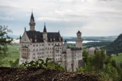 Grünzeug mit eher zufälligem Hintergrund