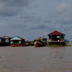 grünzeug ragt aus dem wasser, tonle sap, cambodia 2010