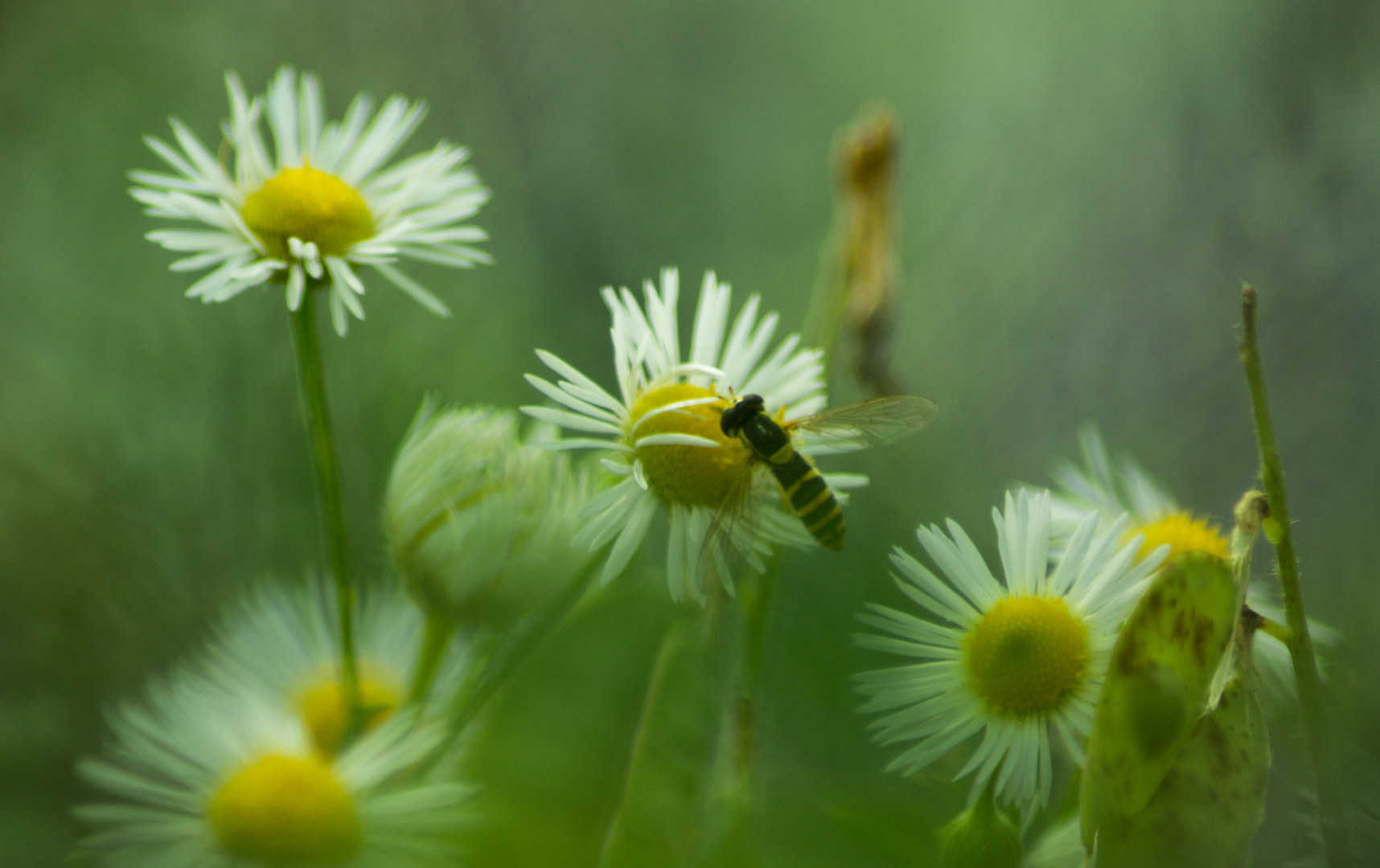 Grüppchen mit Besucher