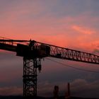 grues au soir couchant