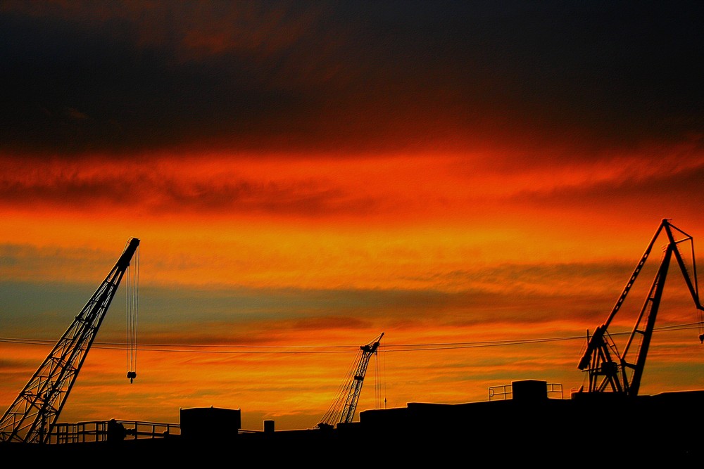 grues soir d automne