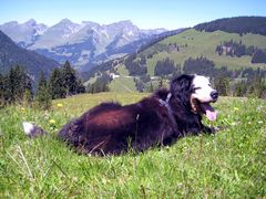 Grüße an alle aus dem Urlaub in den Bergen