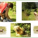 Grüße an den Campingurlauber mit seinem kleinen Hundchen.