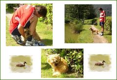 Grüße an den Campingurlauber mit seinem kleinen Hundchen.