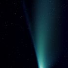 ... Grüße aus 2020: Komet Neowise C/2020 F3 //  Hochkant-Version