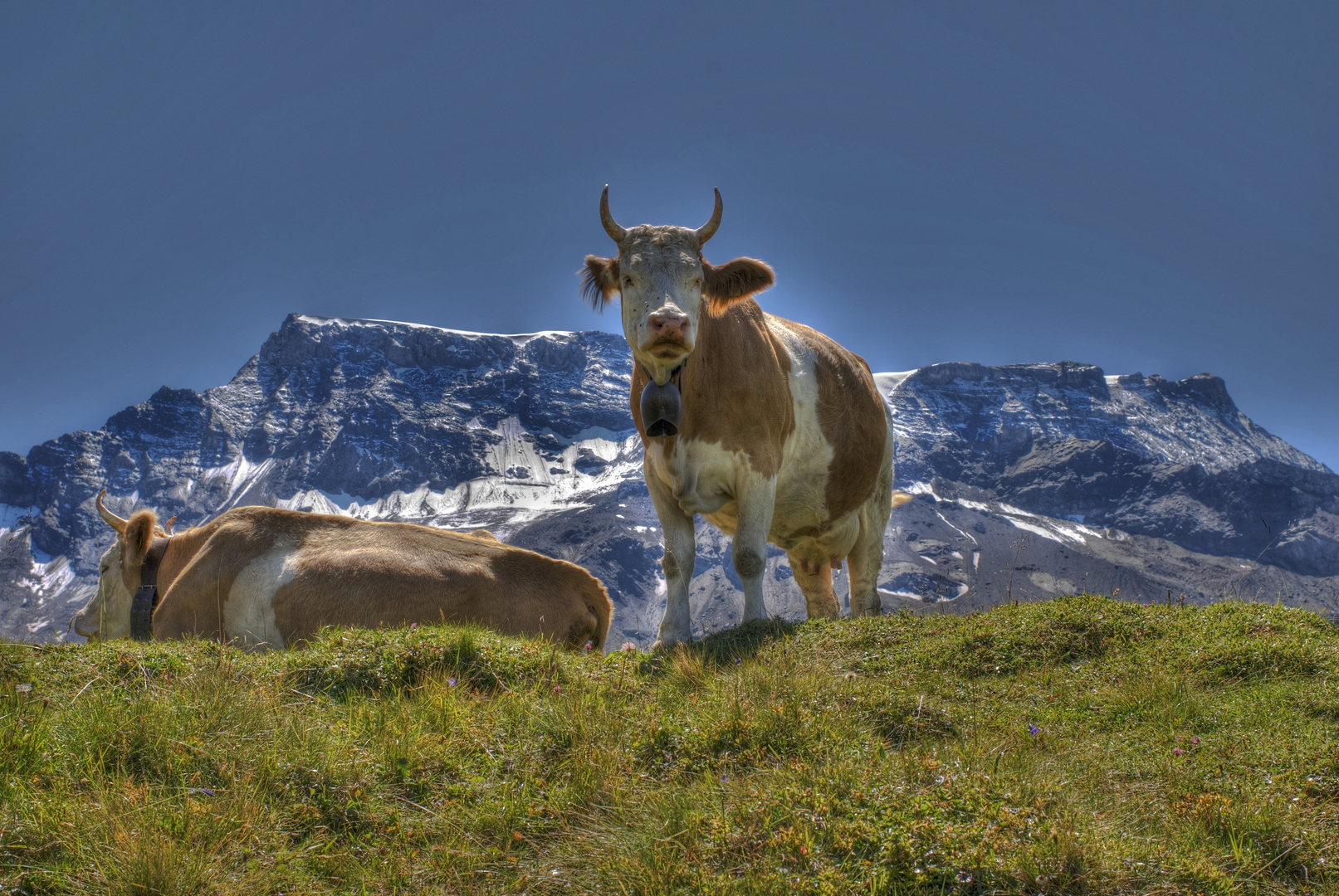 Grüsse aus Adelboden (Schweiz)