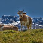 Grüsse aus Adelboden (Schweiz)