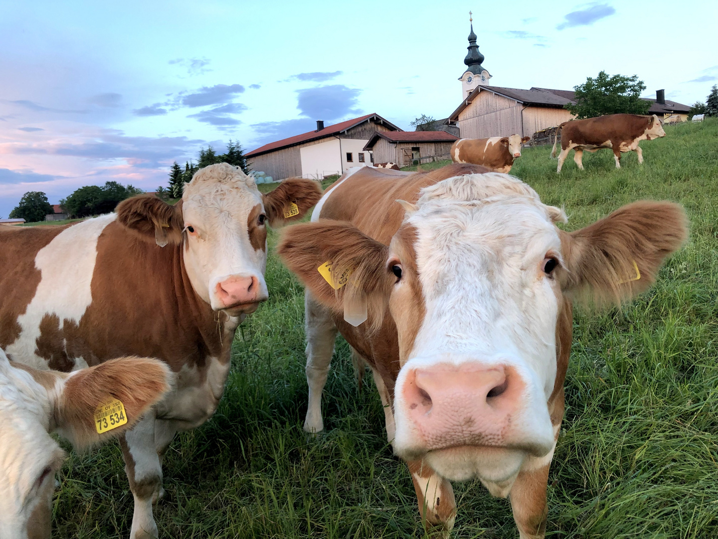 Gruesse aus Bayern