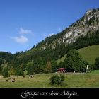 Grüße aus dem Allgäu