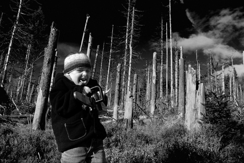 Grüße aus dem Bayerischen Wald