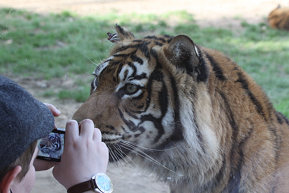 Grüße aus dem Lissabonner Zoo