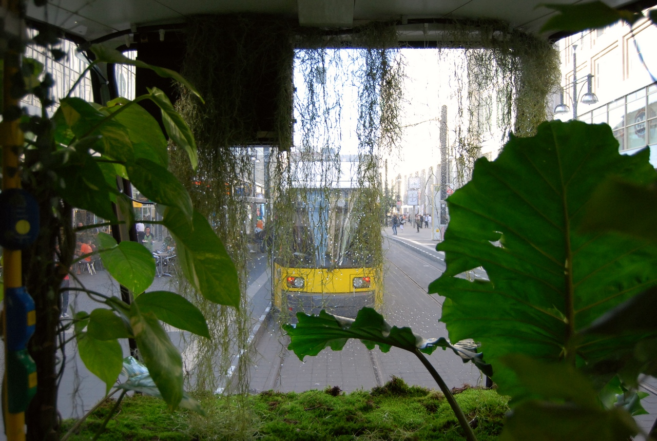 Grüße aus dem Tram-Biotop