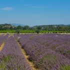 Grüsse aus der Provence