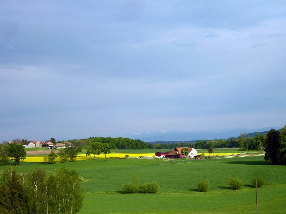 Grüsse aus der Schweiz