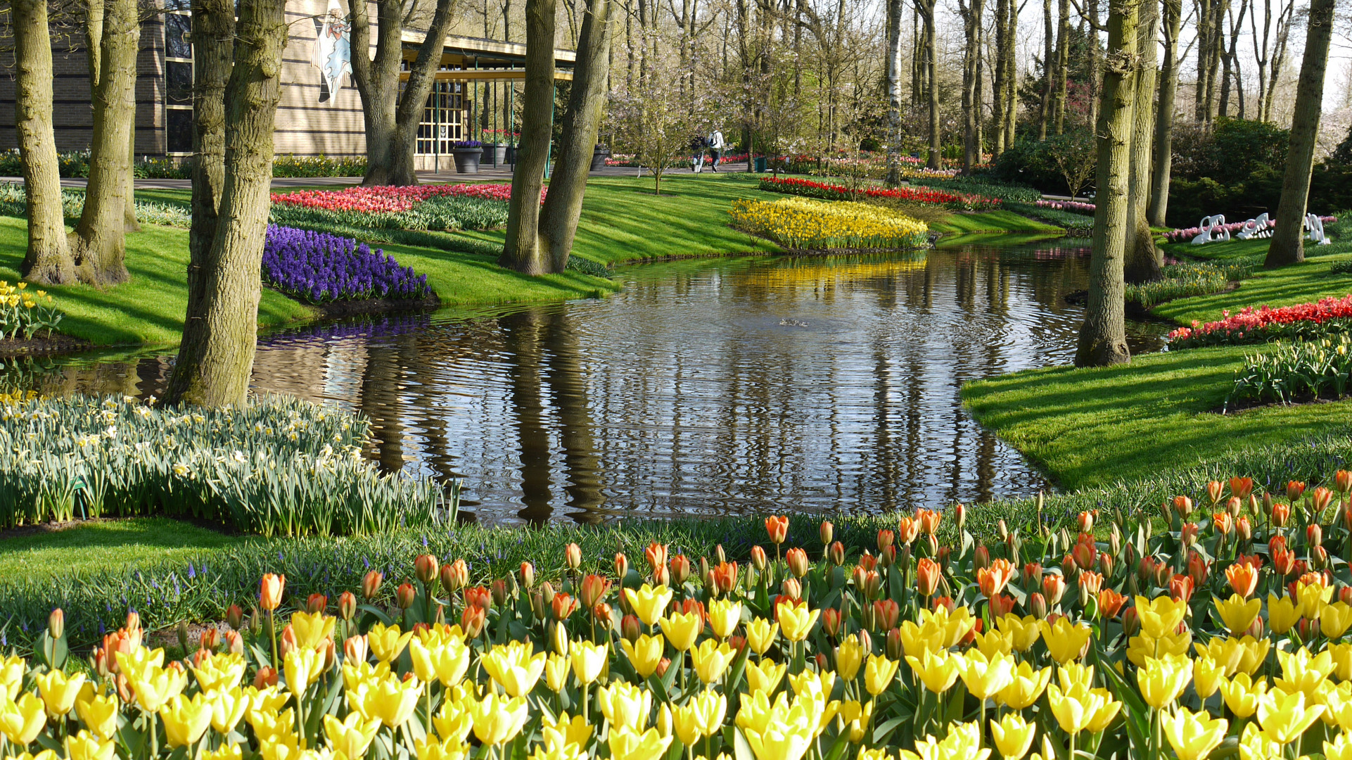 Grüsse aus Keukenhof NL