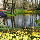 Grüsse aus Keukenhof NL