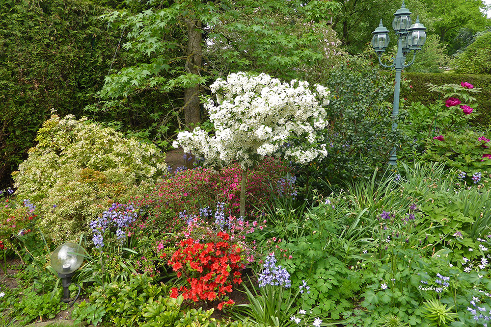 Grüße aus meinem Garten - 