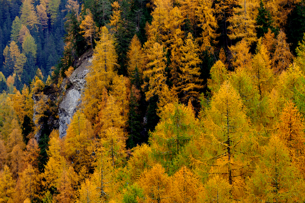 Grüsse aus meiner Heimat Graubünden 05