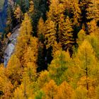 Grüsse aus meiner Heimat Graubünden 05