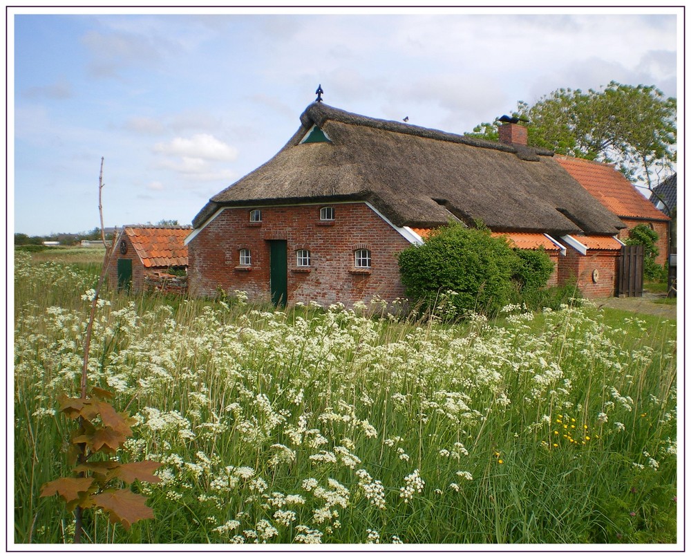 Grüße aus Ostfriesland