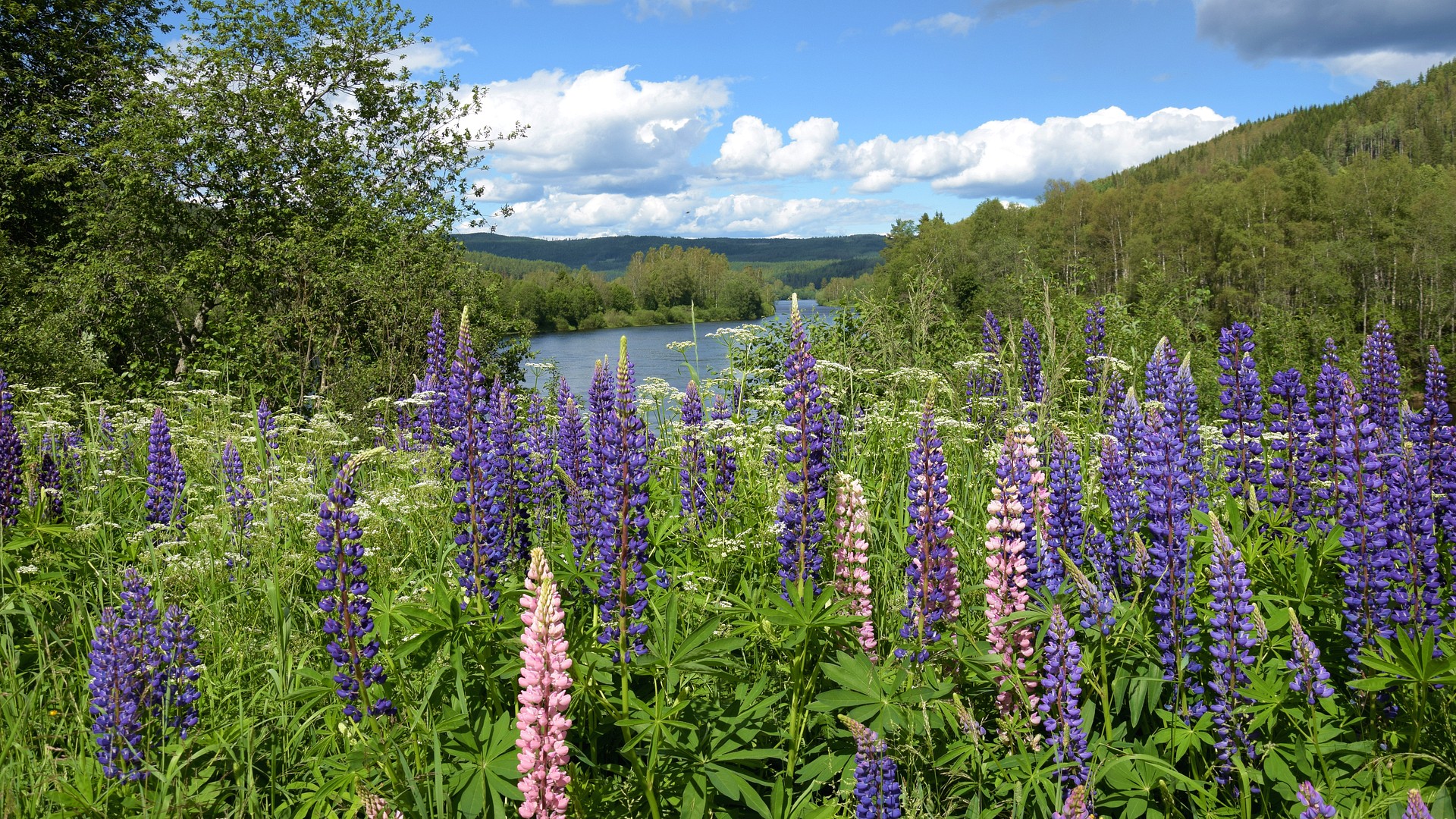 Grüße aus Schweden