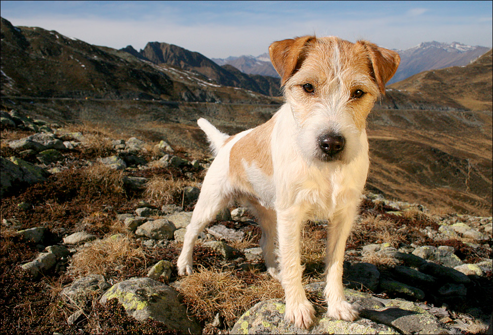 Grüsse aus Südtirol