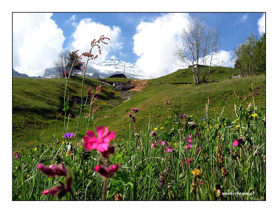 Grüsse ins Maderanertal :-)