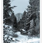 Grüße mitten aus dem winterlichen Berlin