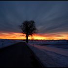 Grüße vom Ammersee