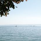 Grüße vom Bodensee