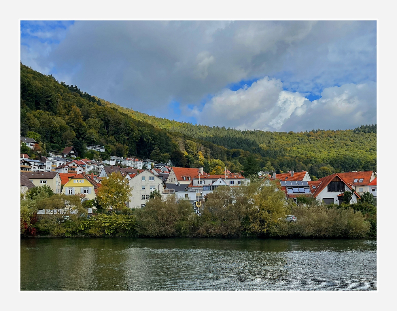 grüße vom neckar ...