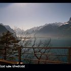 Grüsse vom Urnersee