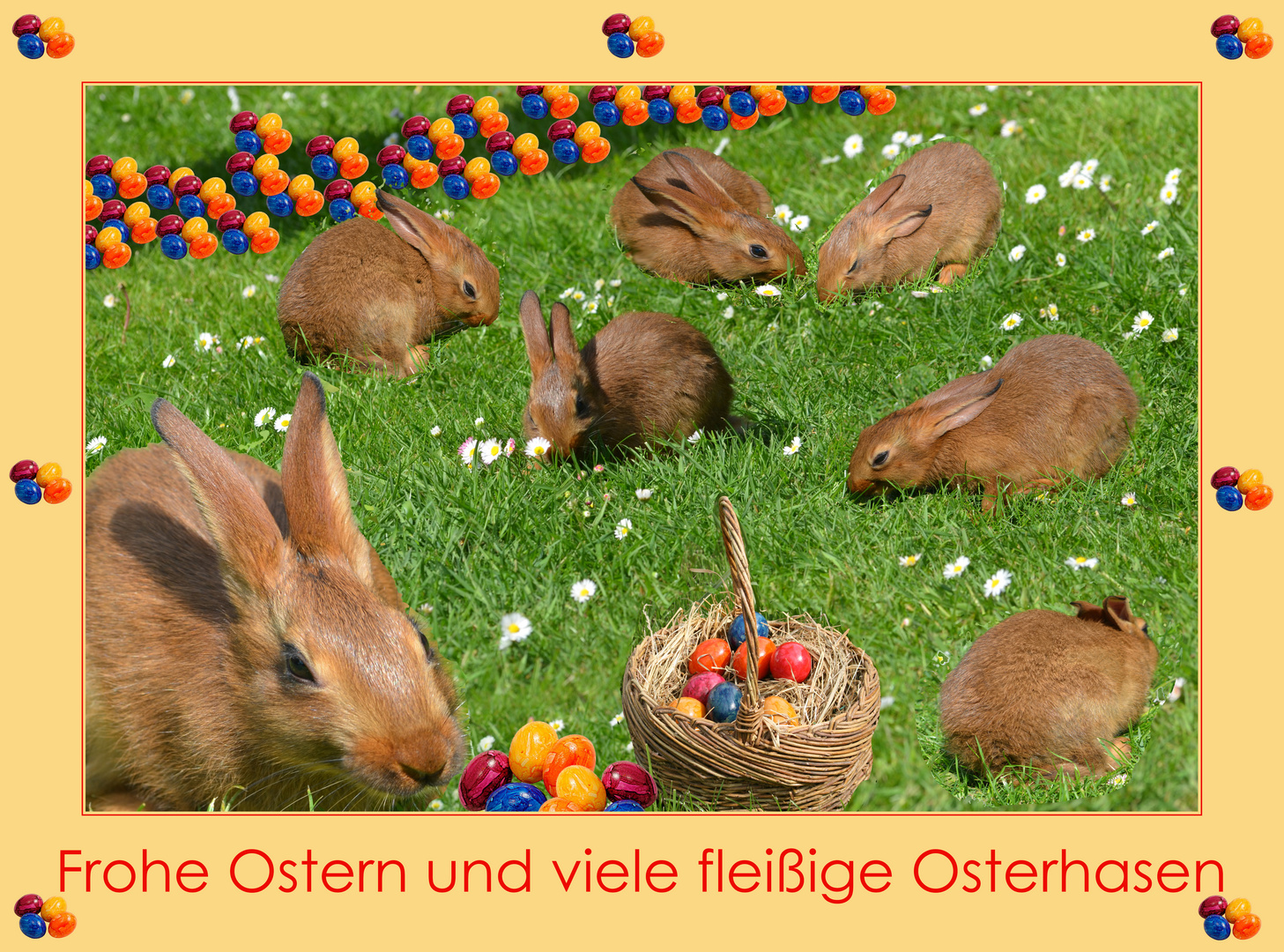 Grüße von den Osterhasen