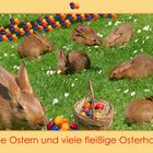 Grüße von den Osterhasen