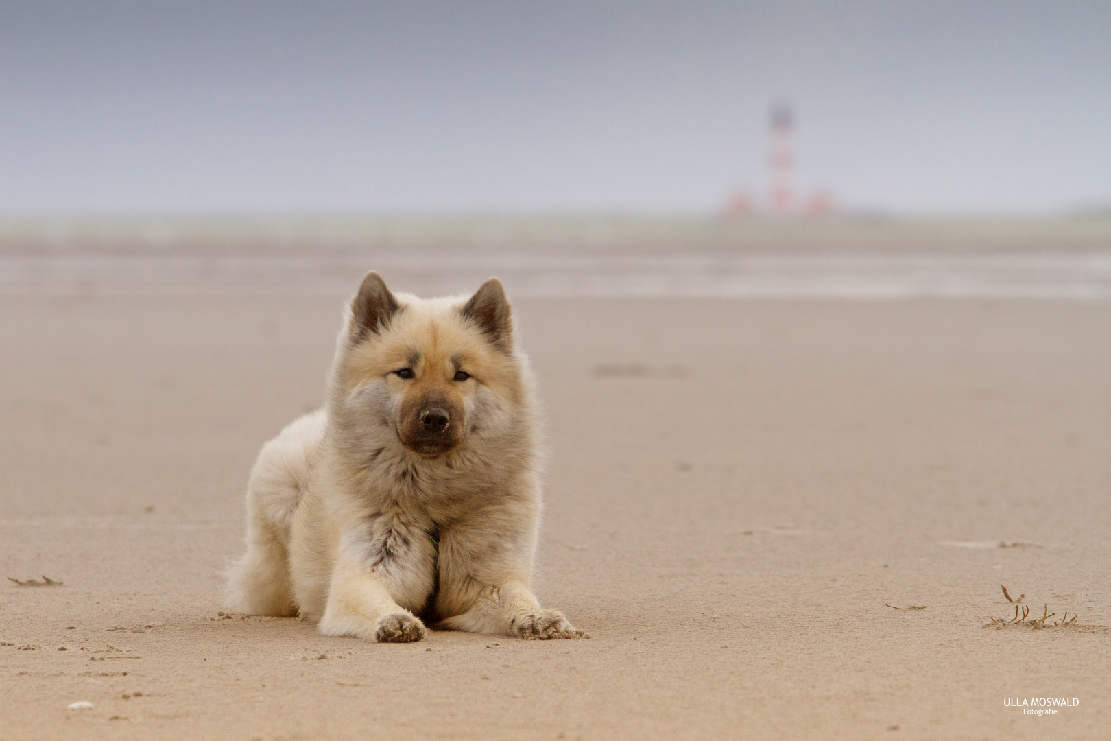 ...Grüße von der Nordsee...