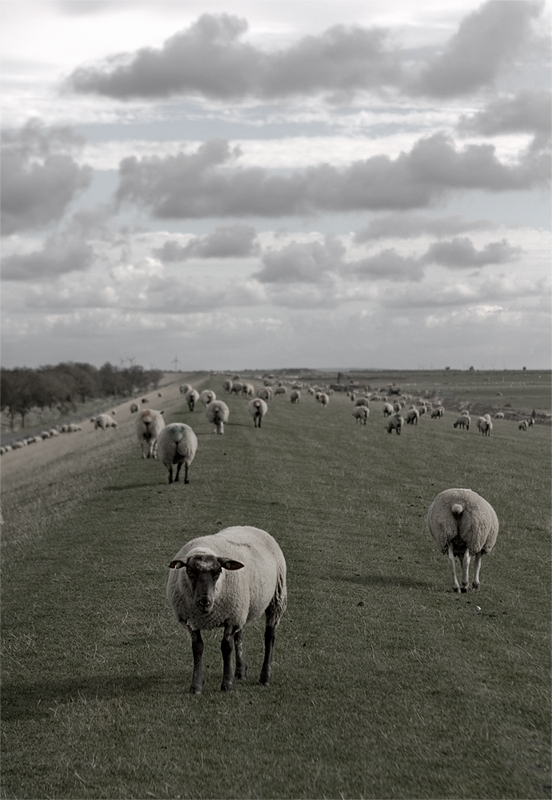 Grüße von der Nordsee