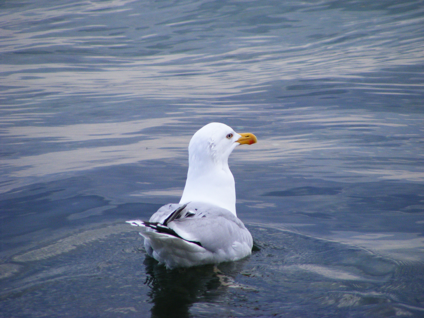 Grüße von der Ostsee