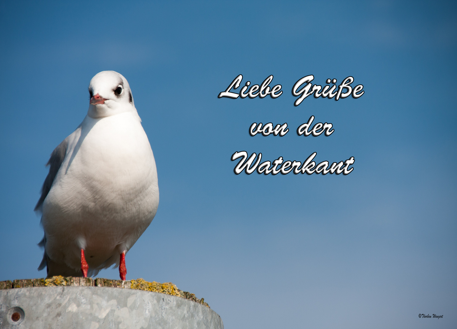 Grüße von der Waterkant