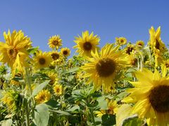 Grüße von einem schönen Spätsommertag