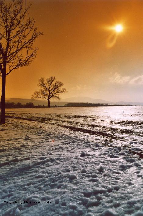 Grüße von Väterchen Frost