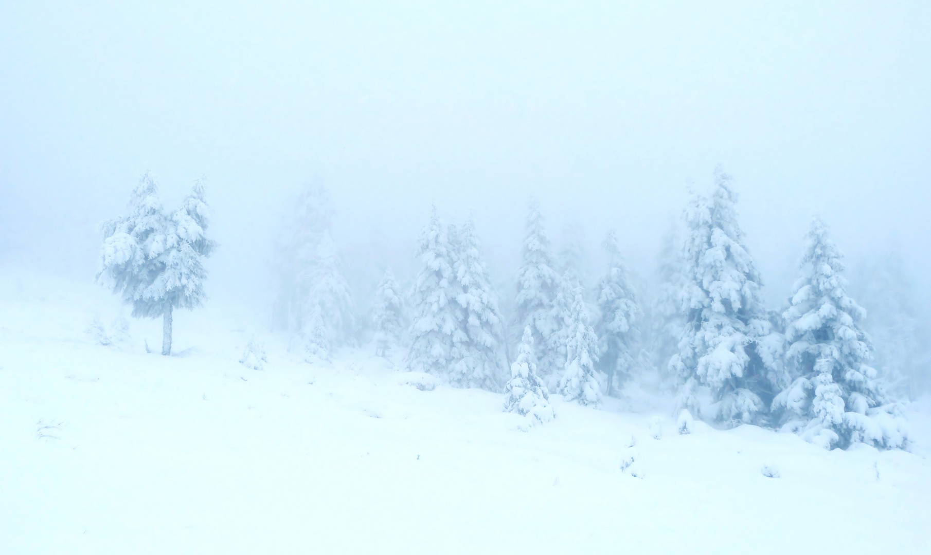 Grüße von Väterchen Frost