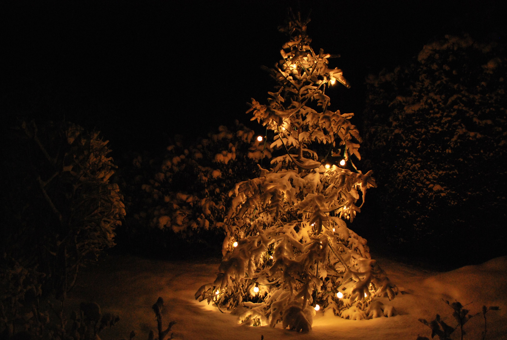 Grüße zum 3. Advent