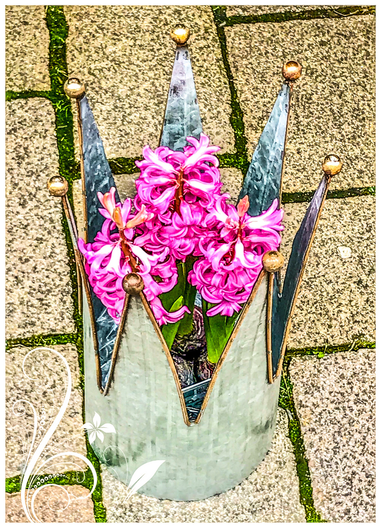 Grusse Zum Pfingstmontag Foto Bild Spezial Fruhling Stillleben Bilder Auf Fotocommunity