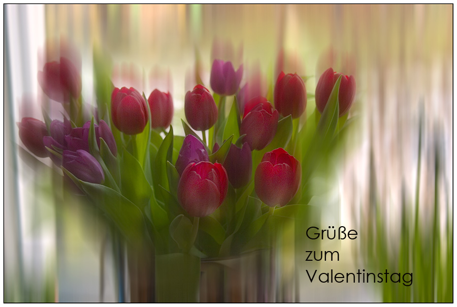 Grüsse zum Valentinstag