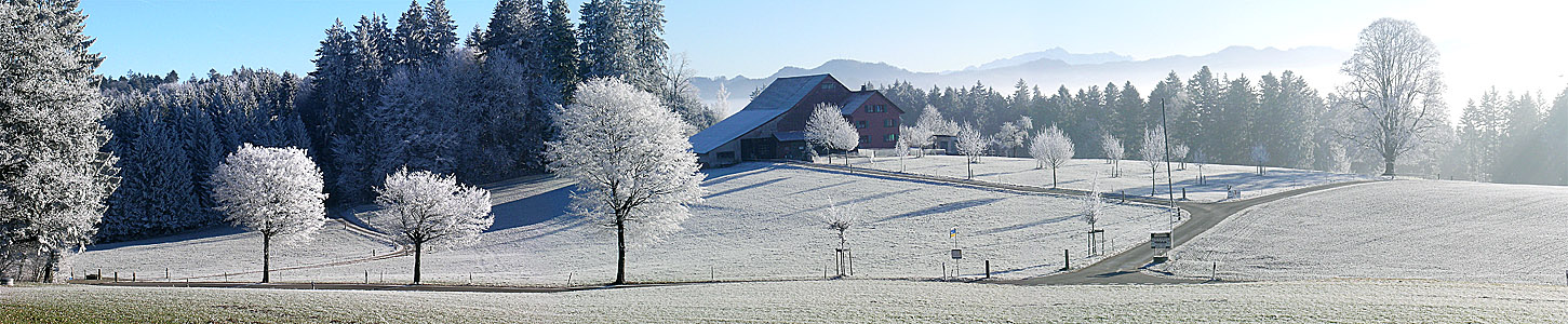 Grüter oberhalb Pfäffikon ZH