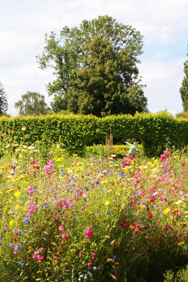 Gruga Essen - Blumenwiese