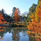 Gruga im Herbst