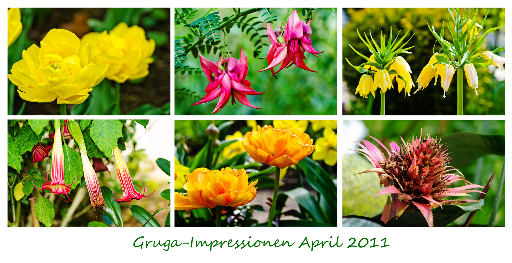 Gruga-Impressionen 1