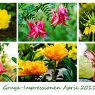 Gruga-Impressionen 1