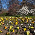 GRUGAPARK Essen (03)